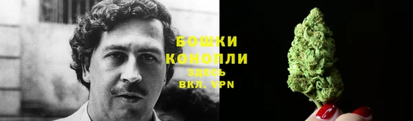 прущая мука Пересвет