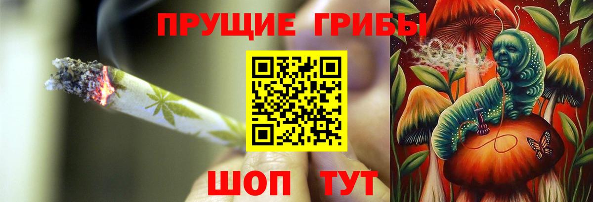 Туймазы  Псилоцибиновые грибы Cubensis  Вход с VPN 